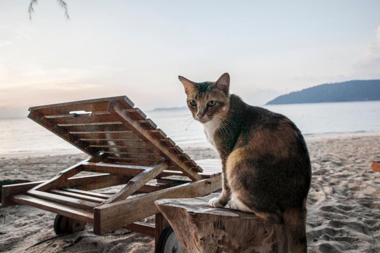 Swiss Cottage Tioman Kampong Ayer Batang ภายนอก รูปภาพ