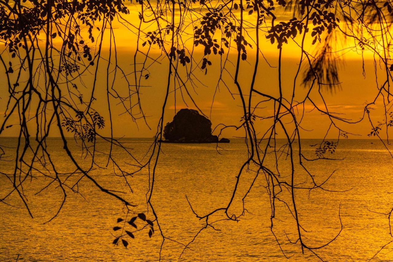 Swiss Cottage Tioman Kampong Ayer Batang ภายนอก รูปภาพ